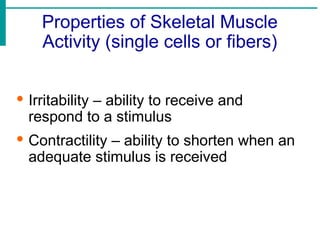Properties of Skeletal Muscle
Activity (single cells or fibers)
· Irritability – ability to receive and
respond to a stimulus
· Contractility – ability to shorten when an
adequate stimulus is received
 