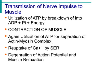 Transmission of Nerve Impulse to
Muscle
· Utilization of ATP by breakdown of into
ADP + Pi + Energy
· CONTRACTION OF MUSCLE
· Again Utilization of ATP for separation of
Actin-Myosin Complex
· Reuptake of Ca++ by SER
· Degenration of Action Potential and
Muscle Relaxation
 
