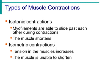 Types of Muscle Contractions
· Isotonic contractions
·Myofilaments are able to slide past each
other during contractions
·The muscle shortens
· Isometric contractions
·Tension in the muscles increases
·The muscle is unable to shorten
 