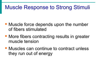 Muscle Response to Strong Stimuli
· Muscle force depends upon the number
of fibers stimulated
· More fibers contracting results in greater
muscle tension
· Muscles can continue to contract unless
they run out of energy
 