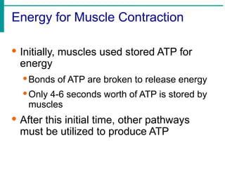 Energy for Muscle Contraction
· Initially, muscles used stored ATP for
energy
·Bonds of ATP are broken to release energy
·Only 4-6 seconds worth of ATP is stored by
muscles
· After this initial time, other pathways
must be utilized to produce ATP
 