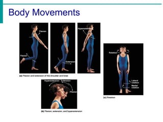 Body Movements
 