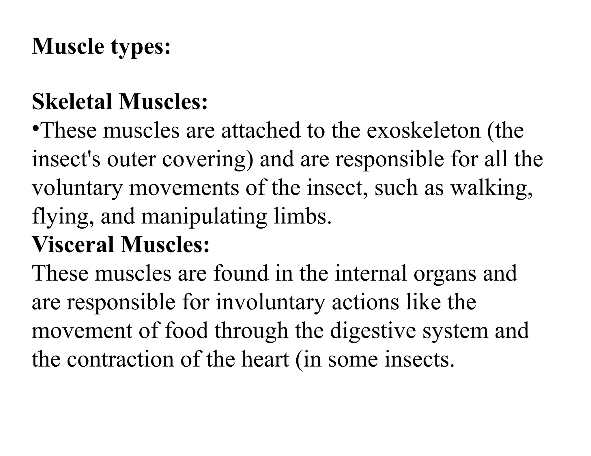 MUSCULAR_SYSTEM of insects and it's structure pptx | PPTX