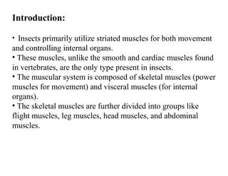MUSCULAR_SYSTEM of insects and it's structure pptx | PPTX