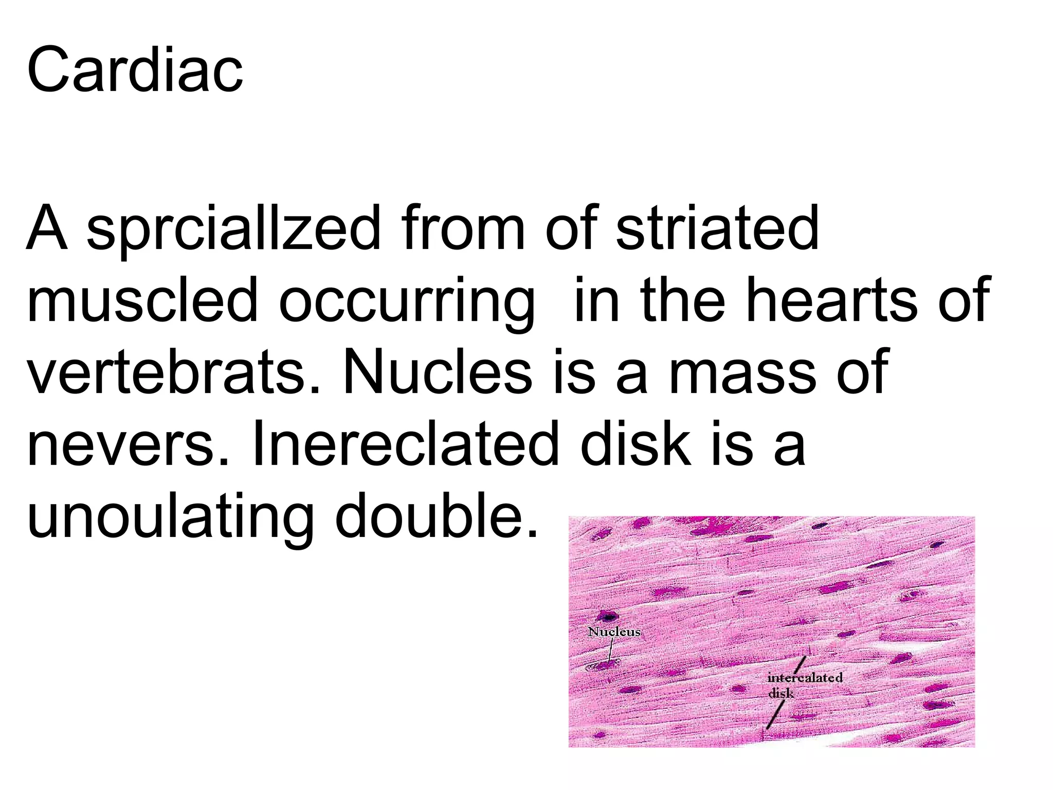 Cardiac A sprciallzed from of striated muscled occurring  in the hearts of vertebrats. Nucles is a mass of nevers. Inereclated disk is a unoulating double. 