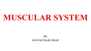 MUSCULAR SYSTEM
BY
SONI KUMARI SHAH
 