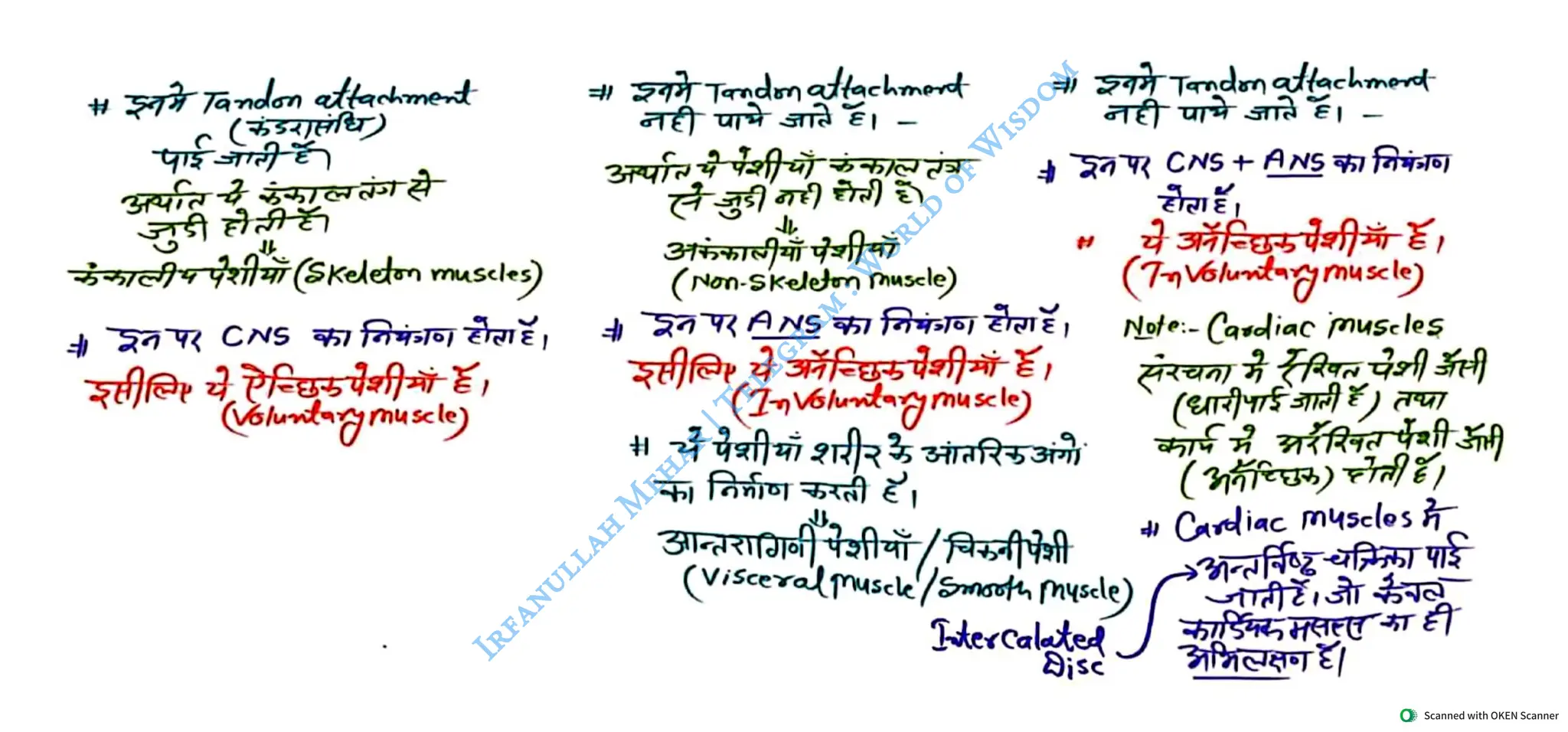 Muscular System 2025 Batch - Irfanullah Mehar -- World of Wisdom.pdf