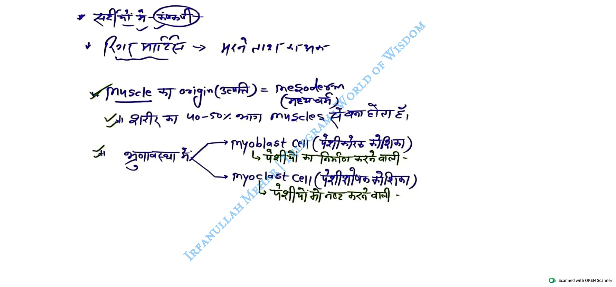 Muscular System 2025 Batch - Irfanullah Mehar -- World of Wisdom.pdf