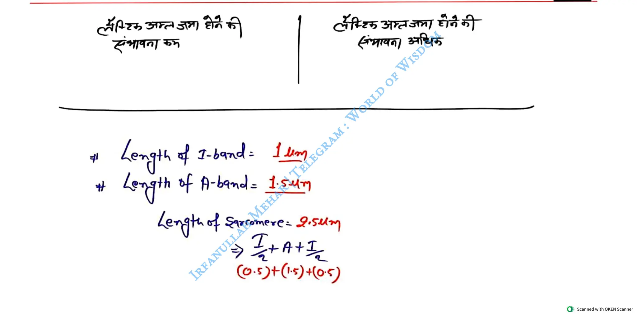 Muscular System 2025 Batch - Irfanullah Mehar -- World of Wisdom.pdf