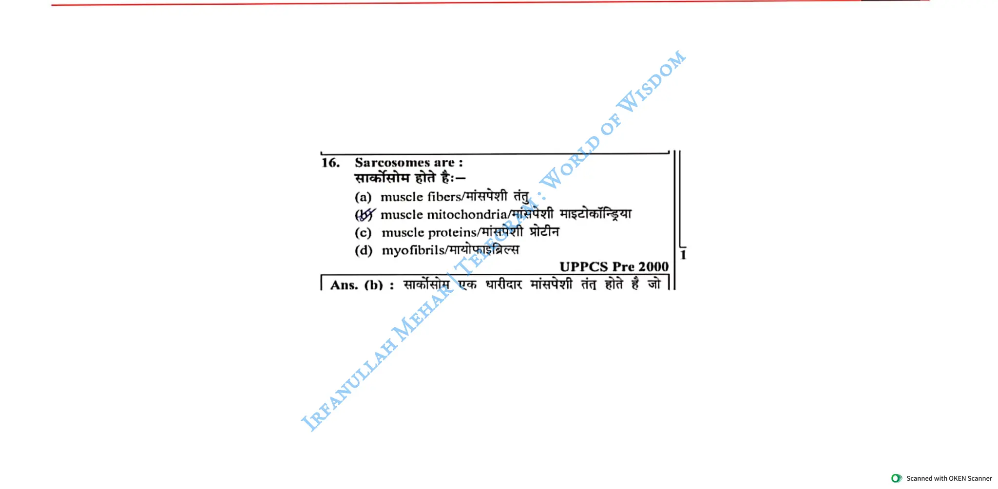 Muscular System 2025 Batch - Irfanullah Mehar -- World of Wisdom.pdf