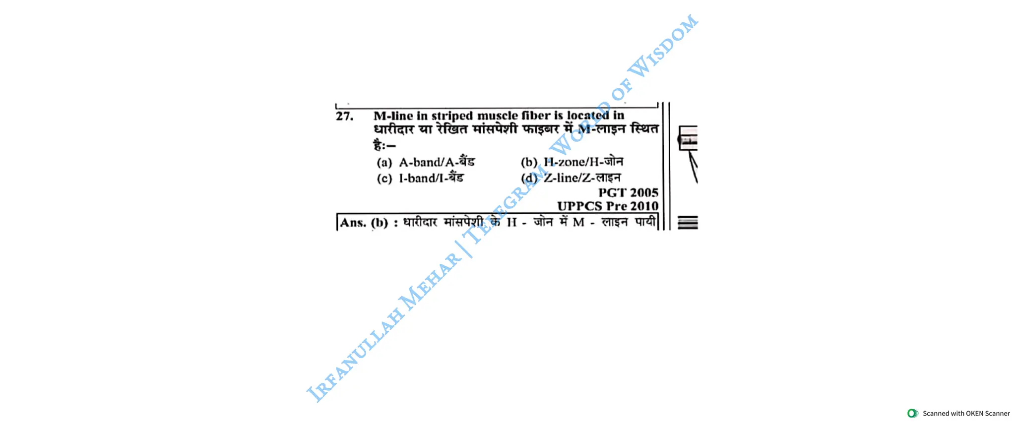 Muscular System 2025 Batch - Irfanullah Mehar -- World of Wisdom.pdf
