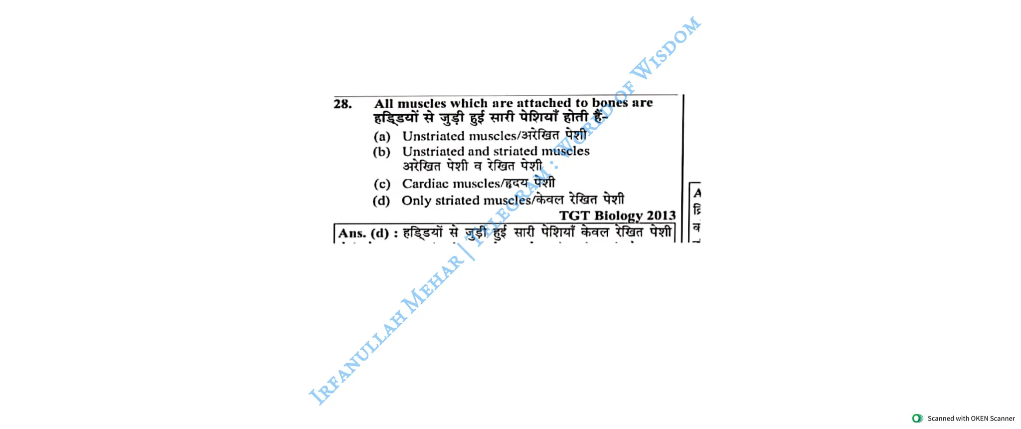 Muscular System 2025 Batch - Irfanullah Mehar -- World of Wisdom.pdf