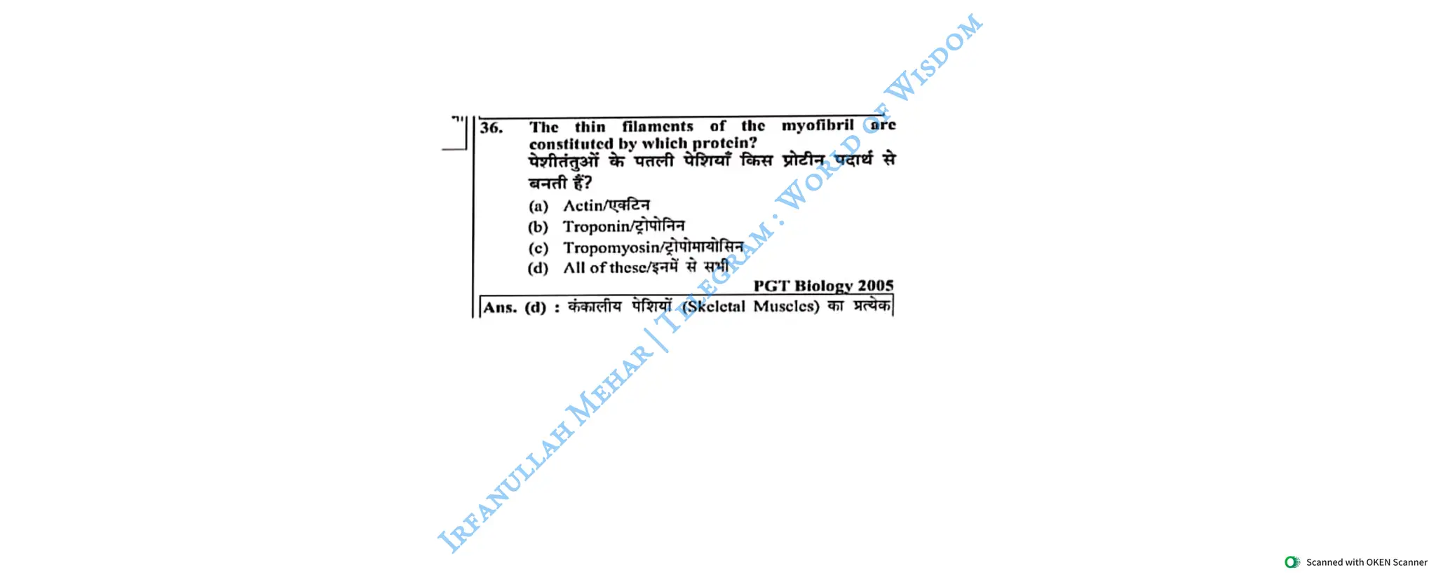 Muscular System 2025 Batch - Irfanullah Mehar -- World of Wisdom.pdf