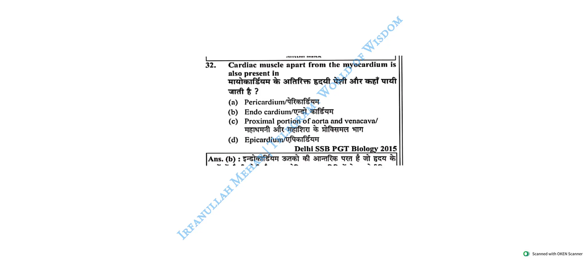 Muscular System 2025 Batch - Irfanullah Mehar -- World of Wisdom.pdf