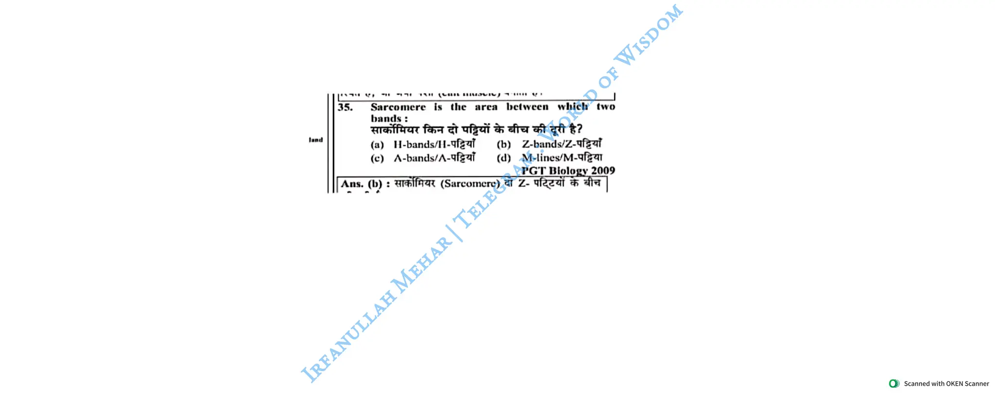 Muscular System 2025 Batch - Irfanullah Mehar -- World of Wisdom.pdf