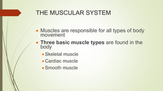 THE MUSCULAR SYSTEM
 Muscles are responsible for all types of body
movement
 Three basic muscle types are found in the
body
 Skeletal muscle
 Cardiac muscle
 Smooth muscle
 