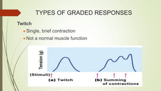 TYPES OF GRADED RESPONSES
Twitch
 Single, brief contraction
 Not a normal muscle function
 