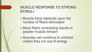 MUSCLE RESPONSE TO STRONG
STIMULI
 Muscle force depends upon the
number of fibers stimulated
 More fibers contracting results in
greater muscle tension
 Muscles can continue to contract
unless they run out of energy
 
