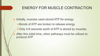 ENERGY FOR MUSCLE CONTRACTION
 Initially, muscles used stored ATP for energy
 Bonds of ATP are broken to release energy
 Only 4-6 seconds worth of ATP is stored by muscles
 After this initial time, other pathways must be utilized to
produce ATP
 