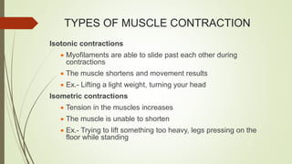 TYPES OF MUSCLE CONTRACTION
Isotonic contractions
 Myofilaments are able to slide past each other during
contractions
 The muscle shortens and movement results
 Ex.- Lifting a light weight, turning your head
Isometric contractions
 Tension in the muscles increases
 The muscle is unable to shorten
 Ex.- Trying to lift something too heavy, legs pressing on the
floor while standing
 