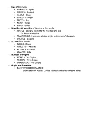  Size of the muscle
 MAXIMUS – Largest
 MINIMIS – Smallest
 VASTUS – Huge
 LONGUS – Longest
 BREVIS – Short
 MAJOR – Large
 MINOR – Small
 Direction/Orientation of the muscle fibers/cells
 RECTUS – straight, parallel to the muscle’s long axis
Ex: Rectus Abdominis
 TRANSVERSUS– transverse, at right angles to the muscle’s long axis
 OBLIQUE – diagonal
 Action of the muscle
 FLEXOR– Flexes
 ABDUCTOR – Abducts
 EXTENSOR – Extends
 LEVATOR – Lifts
 Number of Origins
 BICEPS – Two Origins
 TRICEPS – Three Origins
 QUADRICEPS – Four Origins
 Origin and Insertion:
 Ex: STERNO CLEIDO MASTOID
Origin: Sternum Passes: Clavicle Insertion: Mastoid (Temporal Bone)
 