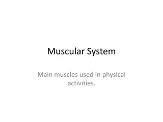 Muscular System
Main muscles used in physical
activities.
 
