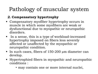 muscular system pathology lecture.pptx