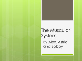 The Muscular
System
By Alex, Astrid
and Bobby
 