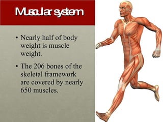Muscular System Ppt | PPT