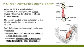 Movement In Muscular System Muscular_System_Structure_and_Function.pptx