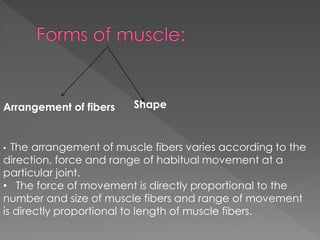 Arrangement of fibers Shape 
• The arrangement of muscle fibers varies according to the 
direction, force and range of habitual movement at a 
particular joint. 
• The force of movement is directly proportional to the 
number and size of muscle fibers and range of movement 
is directly proportional to length of muscle fibers. 
 