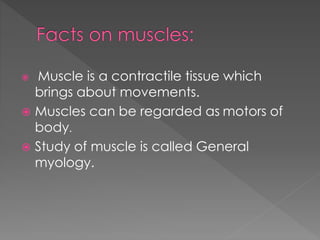  Muscle is a contractile tissue which 
brings about movements. 
 Muscles can be regarded as motors of 
body. 
 Study of muscle is called General 
myology. 
 