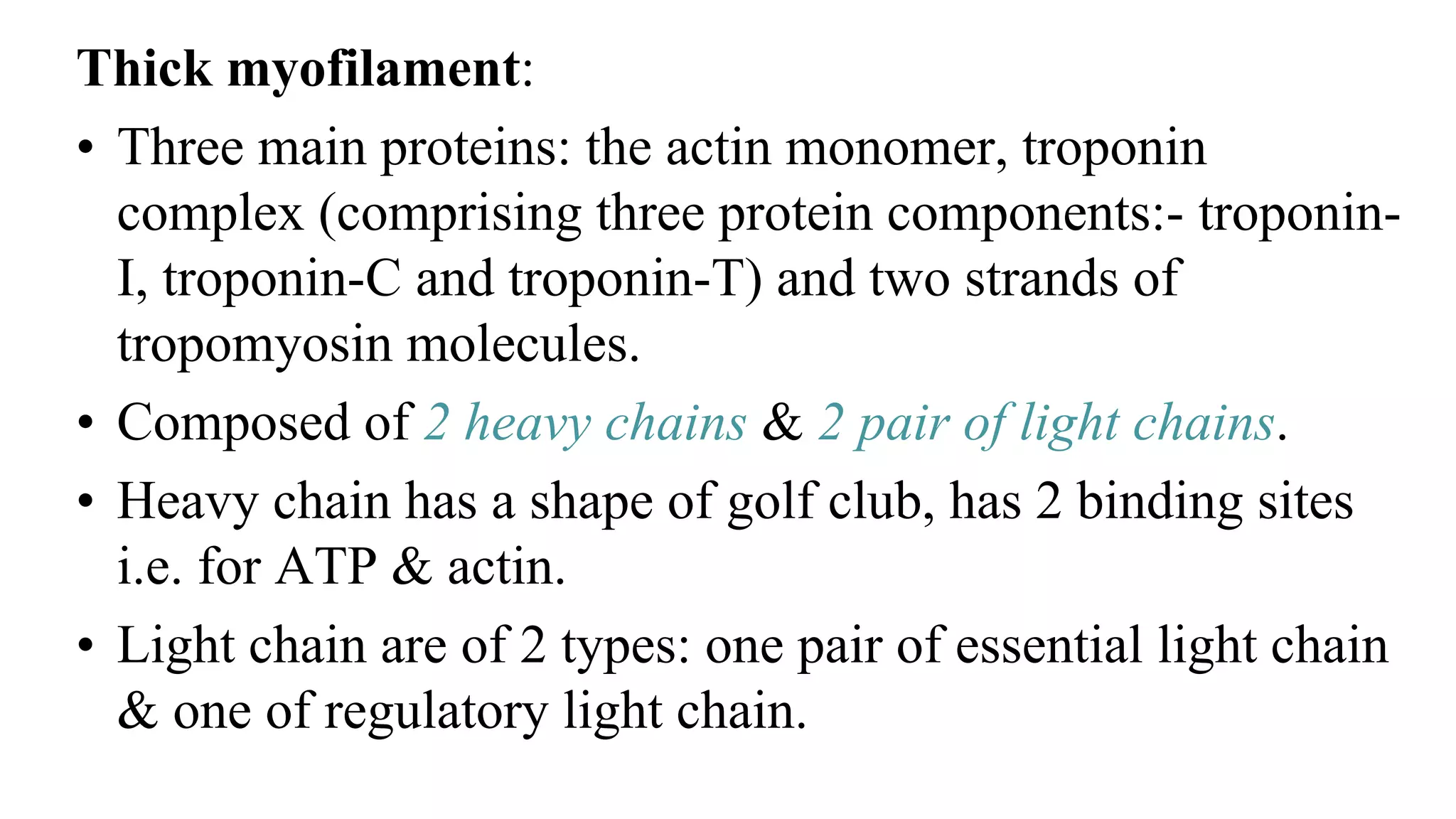 Thick myofilament:
• Three main proteins: the actin monomer, troponin
complex (comprising three protein components:- troponin-
I, troponin-C and troponin-T) and two strands of
tropomyosin molecules.
• Composed of 2 heavy chains & 2 pair of light chains.
• Heavy chain has a shape of golf club, has 2 binding sites
i.e. for ATP & actin.
• Light chain are of 2 types: one pair of essential light chain
& one of regulatory light chain.
 
