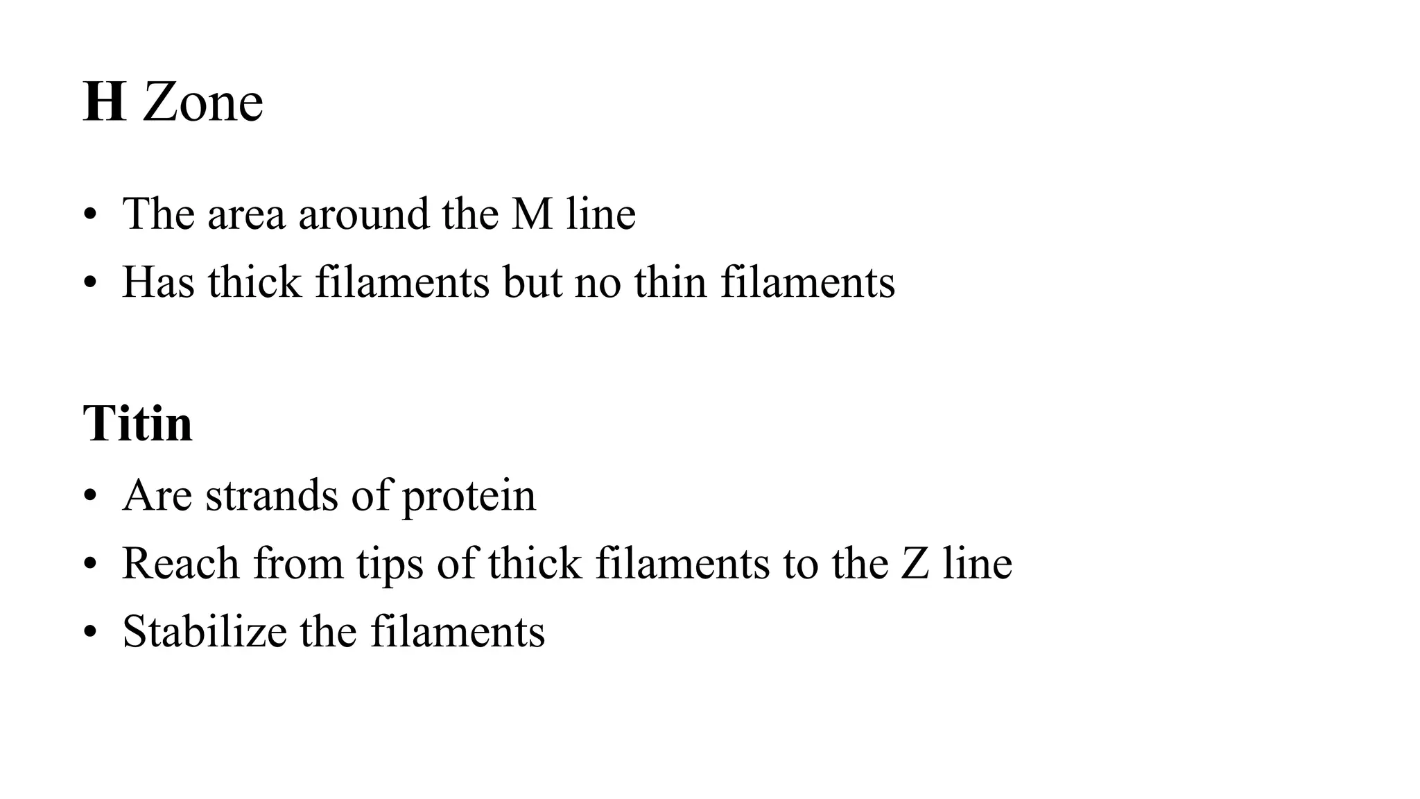 H Zone
• The area around the M line
• Has thick filaments but no thin filaments
Titin
• Are strands of protein
• Reach from tips of thick filaments to the Z line
• Stabilize the filaments
 