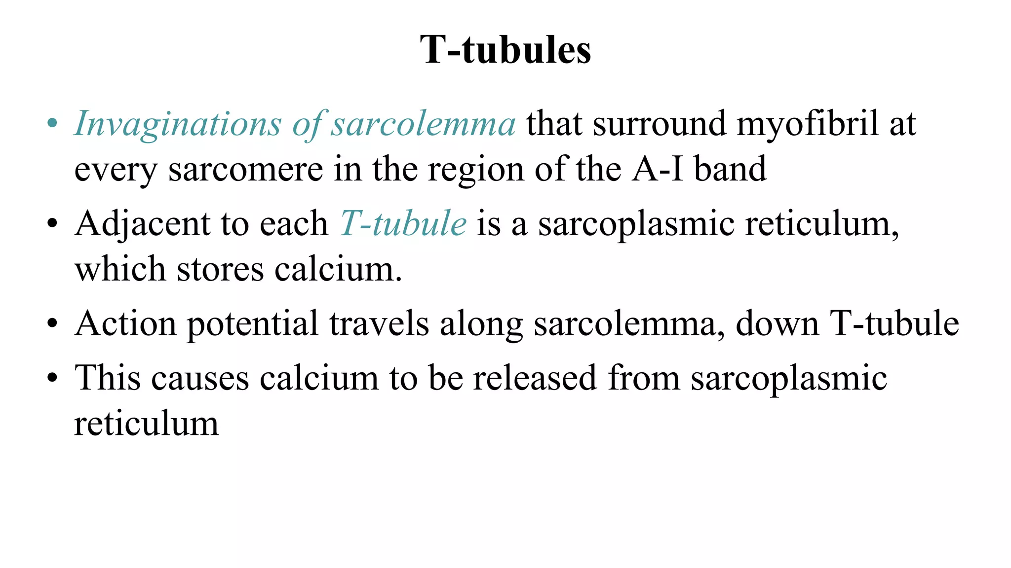 T-tubules
• Invaginations of sarcolemma that surround myofibril at
every sarcomere in the region of the A-I band
• Adjacent to each T-tubule is a sarcoplasmic reticulum,
which stores calcium.
• Action potential travels along sarcolemma, down T-tubule
• This causes calcium to be released from sarcoplasmic
reticulum
 