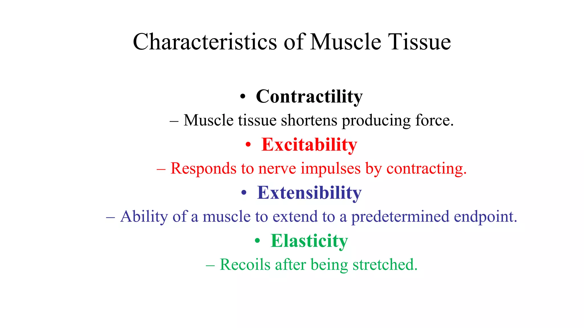 Characteristics of Muscle Tissue
• Contractility
– Muscle tissue shortens producing force.
• Excitability
– Responds to nerve impulses by contracting.
• Extensibility
– Ability of a muscle to extend to a predetermined endpoint.
• Elasticity
– Recoils after being stretched.
 