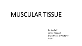 MUSCULAR TISSUE
Dr Akhila V
senior Resident
Department of Anatomy
GMCT
 