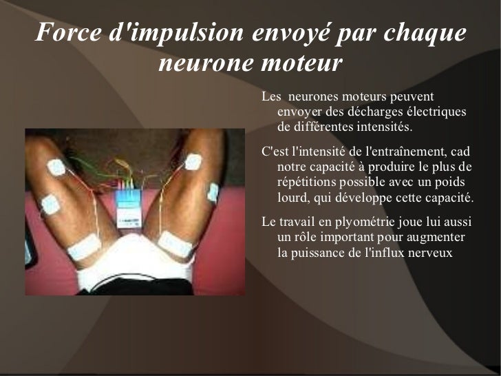 Approche de la préparation physique Approche de la préparation physique