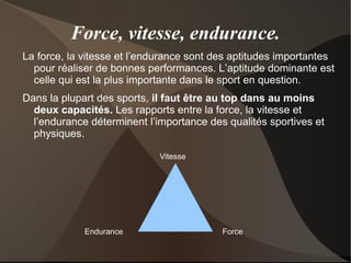 Coordination intramusculaire La coordination de la contraction des fibres musculaires se développe avec l'entraînement: les muscles gagnent en efficacité. 