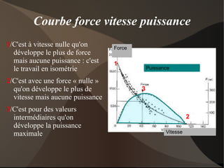Ce travail en amont permet une acquisition plus rapide d'un geste nouveau lorsque le sportif a des mois de musculation derrière lui. 