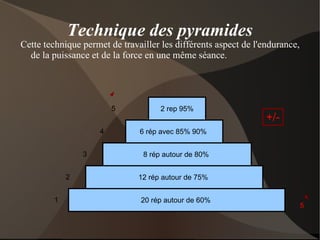 Les mécanismes de l'hypertrophie musculaire C'est la tension à laquelle sont soumis nos muscles qui régule leur volume 