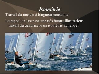 Les séances de musculation vont dans un premier temps détruire des fibres musculaires 