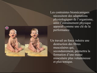 Face à ce stress, celui ci réagit en augmentant l’aptitude physique du domaine sollicité.  La préparation physique du sportif est spécifique, elle est pertinente ou  elle est perte de temps (F. AUBERT) 