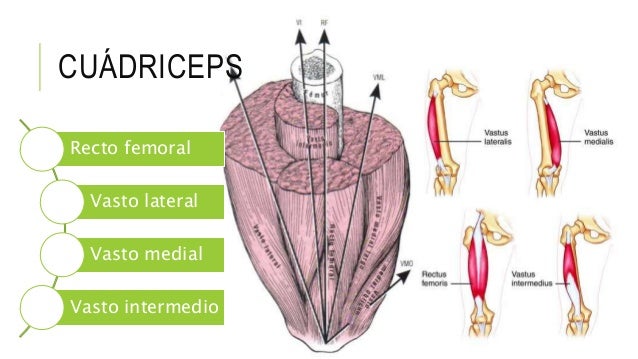 Más en dolor detras de la rodilla al andar