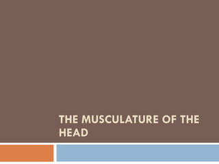 THE MUSCULATURE OF THE HEAD 