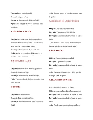 Origem:Fossa canina (maxila)
Inserção:Ângulo da boca
Inervação:Ramos bucais do nervo facial
Ação: Eleva o ângulo da boca e acentua o sulco
nasolabial
4. ZIGOMÁTICO MENOR
Origem:Superfície malar do osso zigomático
Inserção:Lábio superior (entre o levantador do
lábio superior e o zigomático maior)
Inervação:Ramos bucais do nervo facial
Ação: Auxilia na elevação do lábio superior e
acentua o sulco nasolabial
5. ZIGOMÁTICO MAIOR
Origem:Superfície malar do osso zigomático
Inserção:Ângulo da boca
Inervação:Ramos bucais do nervo facial
Ação: Traciona o ângulo da boca para trás e para
cima (risada)
6. RISÓRIO
Origem:Fáscia do masseter
Inserção:Pele no ângulo da boca
Inervação:Ramos mandibular e bucal do nervo
facial
Ação: Retraio ângulo da boca lateralmente (riso
forçado)
7. DEPRESSOR DO LÁBIO INFERIOR
Origem:Linha oblíqua da mandíbula
Inserção:Tegumento do lábio inferior
Inervação:Ramos mandibular e bucal do nervo
facial
Ação: Repuxa o lábio inferior diretamente para
baixo e lateralmente (expressão de ironia)
8. MENTONIANO
Origem:Fossa incisiva da mandíbula
Inserção:Tegumento do queixo
Inervação:Ramos mandibular e bucal do nervo
facial
Ação: Eleva e projeta para fora o lábio superior
e enruga a pele do queixo
9. TRANSVERSO DO MENTO
Não é encontrado em todos os corpos.
Origem:Linha mediana logo abaixo do queixo
Inserção:Fibras do depressor do ângulo da boca
Inervação:Ramos mandibular e bucal do nervo
facial
Ação: Auxilia na depressão o ângulo da boca
 