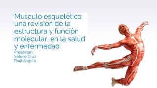 Musculo esquelético:
una revisión de la
estructura y función
molecular, en la salud
y enfermedad
Presentan:
Selene Cruz
Raúl Angulo
 