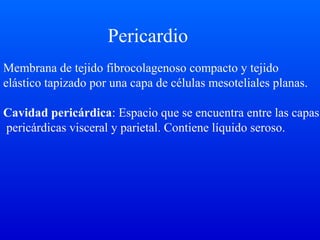 Pericardio
Membrana de tejido fibrocolagenoso compacto y tejido
elástico tapizado por una capa de células mesoteliales planas.
Cavidad pericárdica: Espacio que se encuentra entre las capas
pericárdicas visceral y parietal. Contiene líquido seroso.
 