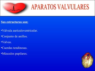 Sus estructuras son:
•Válvula aurículoventricular.
•Conjunto de anillos.
•Valvas.
•Cuerdas tendinosas.
•Músculos papilares.
 