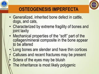 Comprehensive Veterinary Lecture on Musculoskeletal System Pathology ...